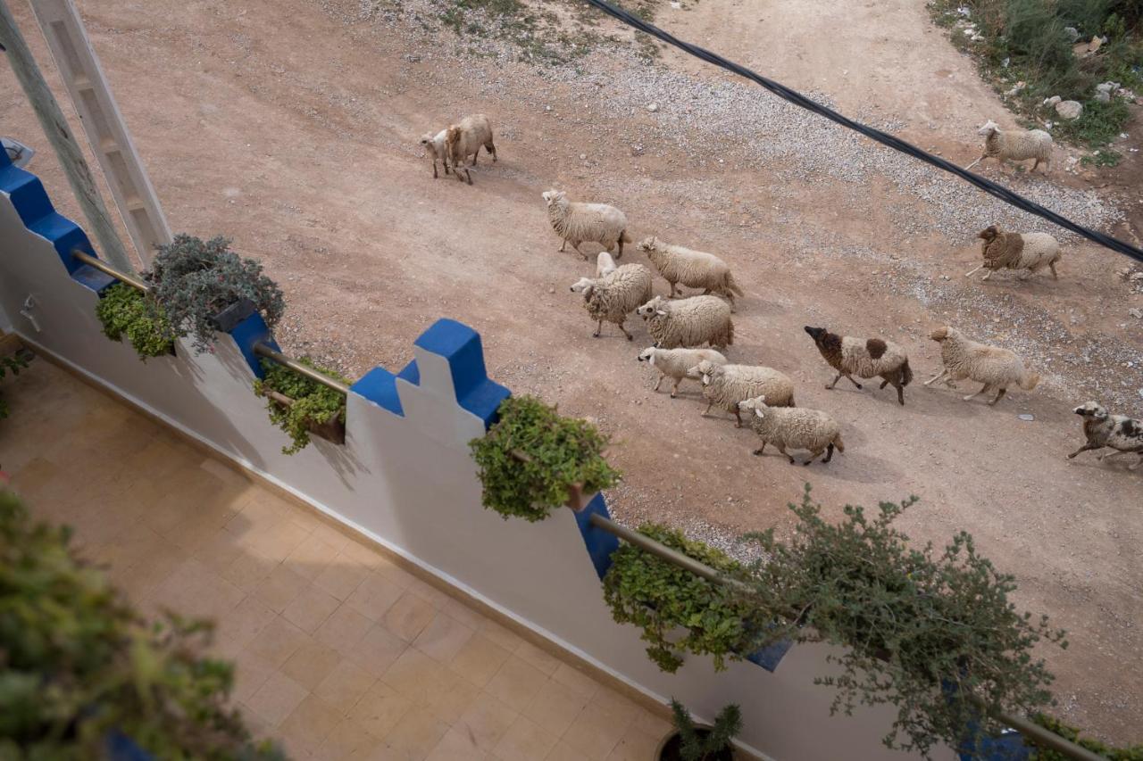 Maison Darna Guesthouse Aourir Eksteriør bilde